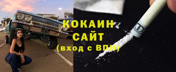 молекула духа Богданович