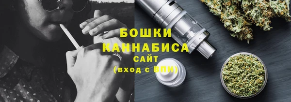 PSILOCYBIN Богородицк