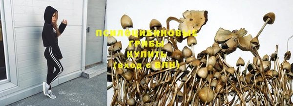 скорость Бородино