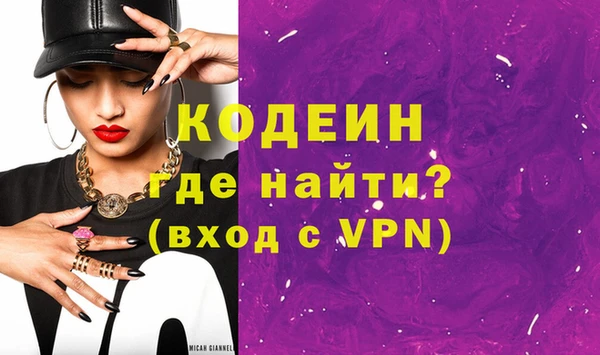 молекула духа Богданович
