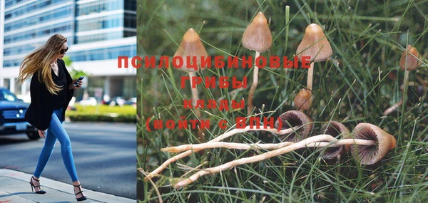 скорость Бородино