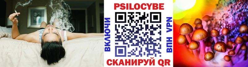 mega ТОР  Выборг  Псилоцибиновые грибы Magic Shrooms  как найти наркотики 