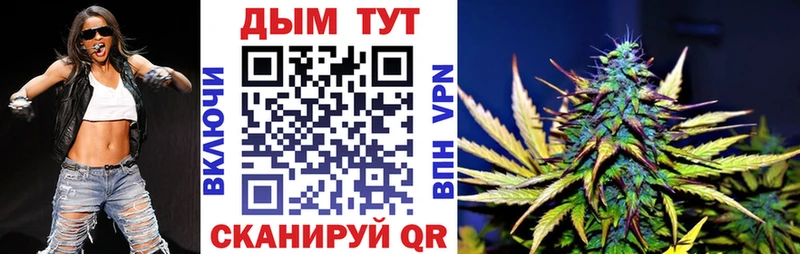 продажа наркотиков  Выборг  Бошки марихуана индика 